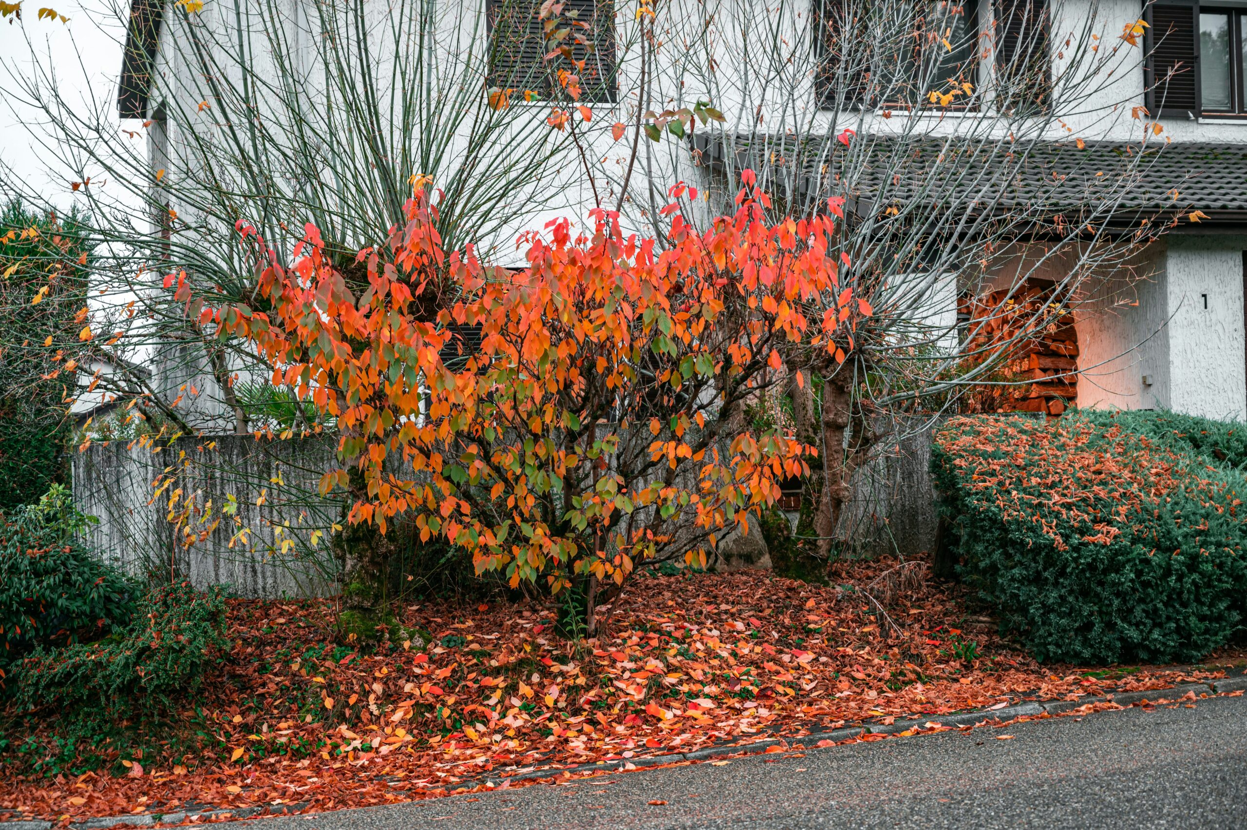Ways to Make Your House Cozy for Fall Showings